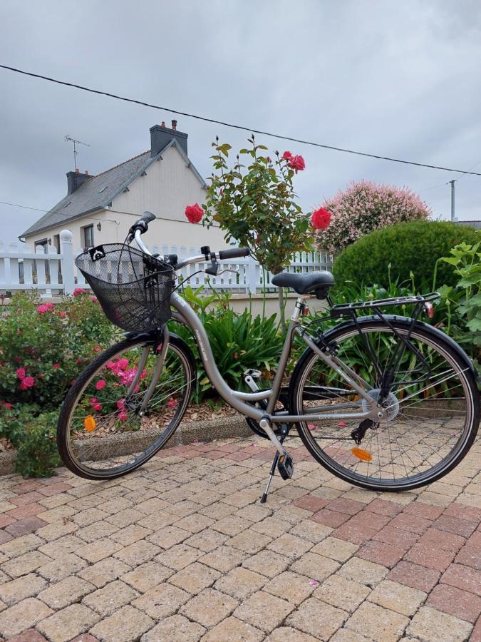 Ty Ann Maison Avec Jardin Clos De Mur, A Proximite Des Commerces Et A 3Km Des Plages Penvénan エクステリア 写真