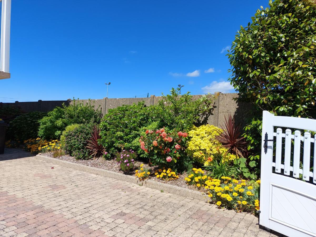 Ty Ann Maison Avec Jardin Clos De Mur, A Proximite Des Commerces Et A 3Km Des Plages Penvénan エクステリア 写真